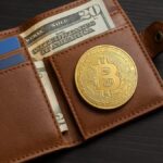 les différents wallet crypto et les meilleurs portefeuilles pour sécuriser ses crypto en 2025